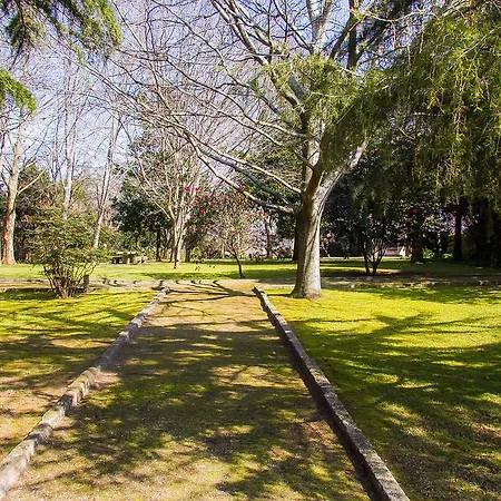 Liiiving In Ofir | Manor Pool House Fonte Boa