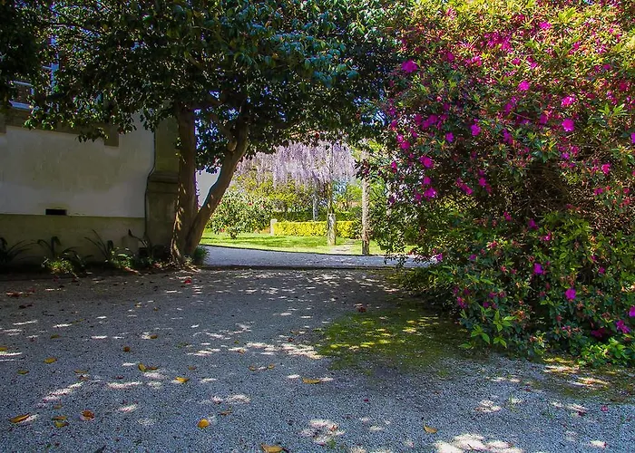 Hébergement de vacances Liiiving In Ofir | Manor Pool House