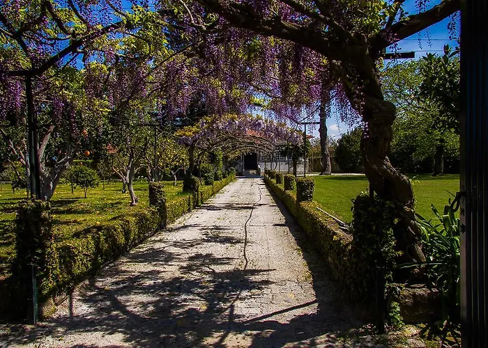 Hébergement de vacances Liiiving In Ofir | Manor Pool House